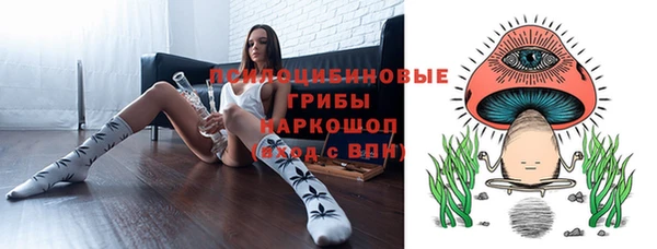 гидра Кинешма