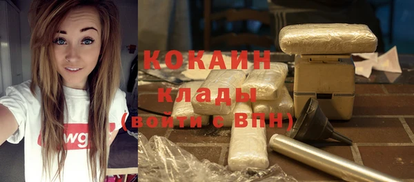 гидра Кинешма
