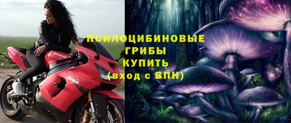 крисы Киреевск