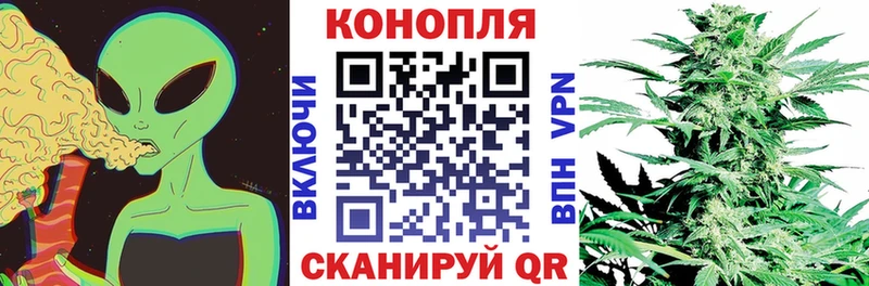 Купить где  Заполярный  Шишки марихуана THC 21% 